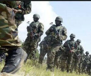 Nigerian Army Grieves Loss of Commanding Officer, Soldiers in Borno Terrorist Clash