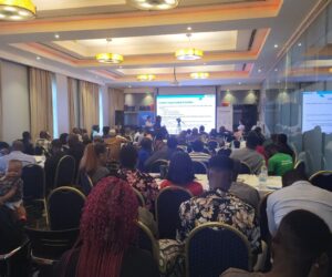 Chinese Firms Train 150 Solar Panel Installers, Distributors In Lagos