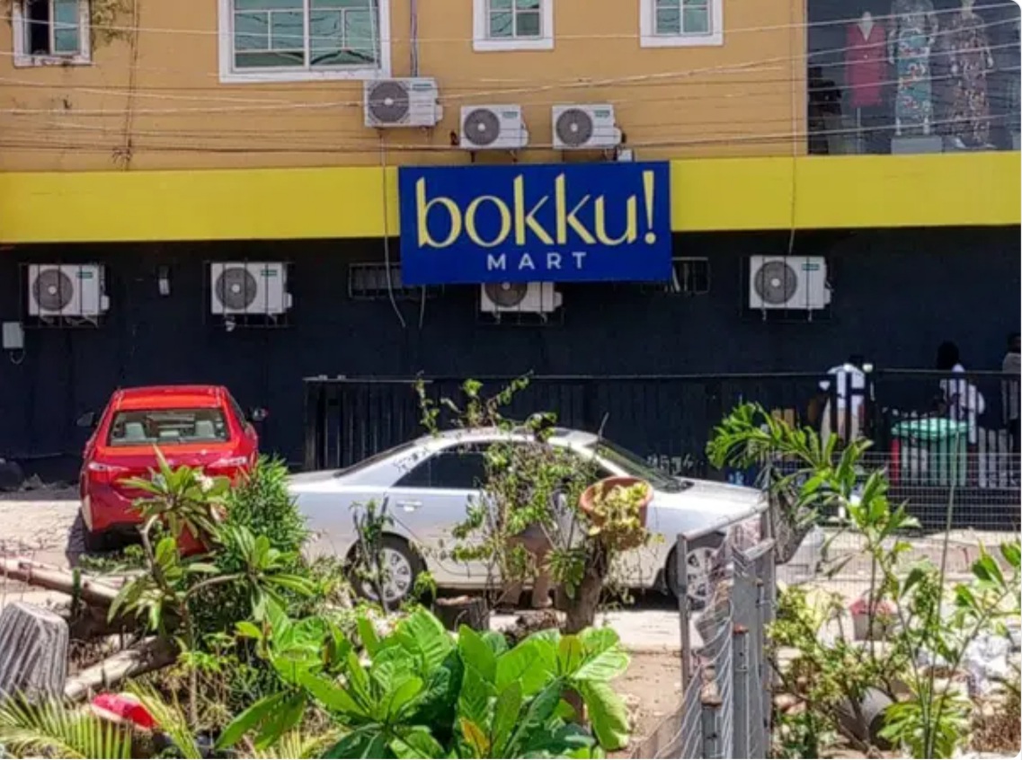 Influencer Apologises After Condemnations Over Disrespectful “Omo Ibo” Comment In Advert For Bokku Mart