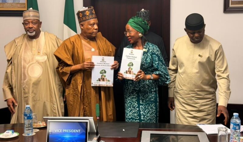 Tinubu Approves Carbon Market, CCF Plan to Unlock $3bn Climate Funds