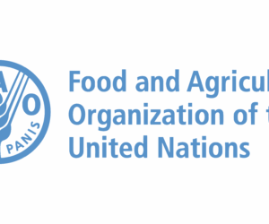 Nigeria courts FAO to boost food security