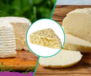 Foodies, these 10 expensive cheeses will wow your taste buds