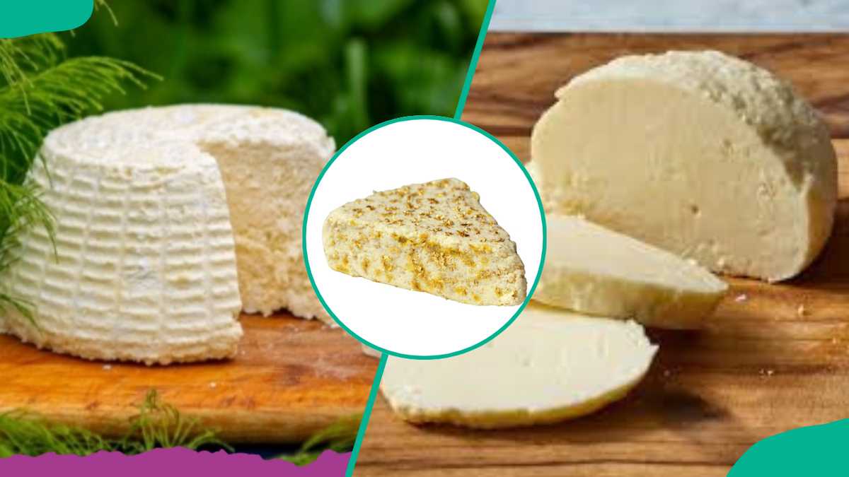 Foodies, these 10 expensive cheeses will wow your taste buds