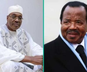 Cameroon Election 2025: Opposition Candidate Declares Victory Over President Paul Biya