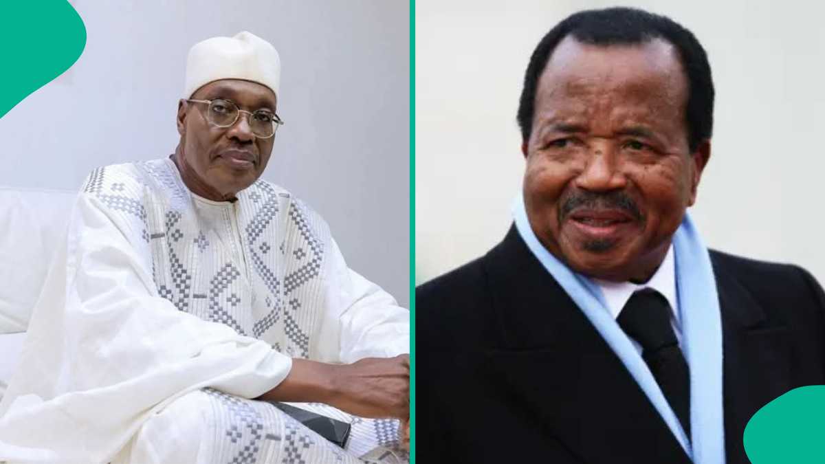 Cameroon Election 2025: Opposition Candidate Declares Victory Over President Paul Biya