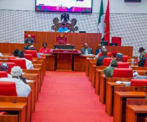Nigerian lawmakers to send delegation to US Congress