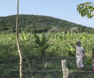 Global race for rare earths comes to Kenya’s Mrima Hill