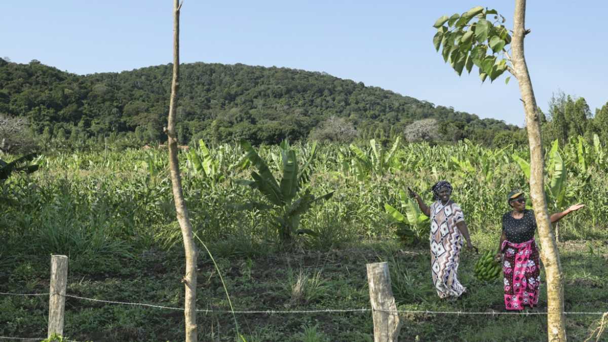 Global race for rare earths comes to Kenya’s Mrima Hill