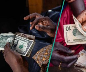 Naira Wins As Dollar Crashes to Its Lowest Exchange Rate in 2025