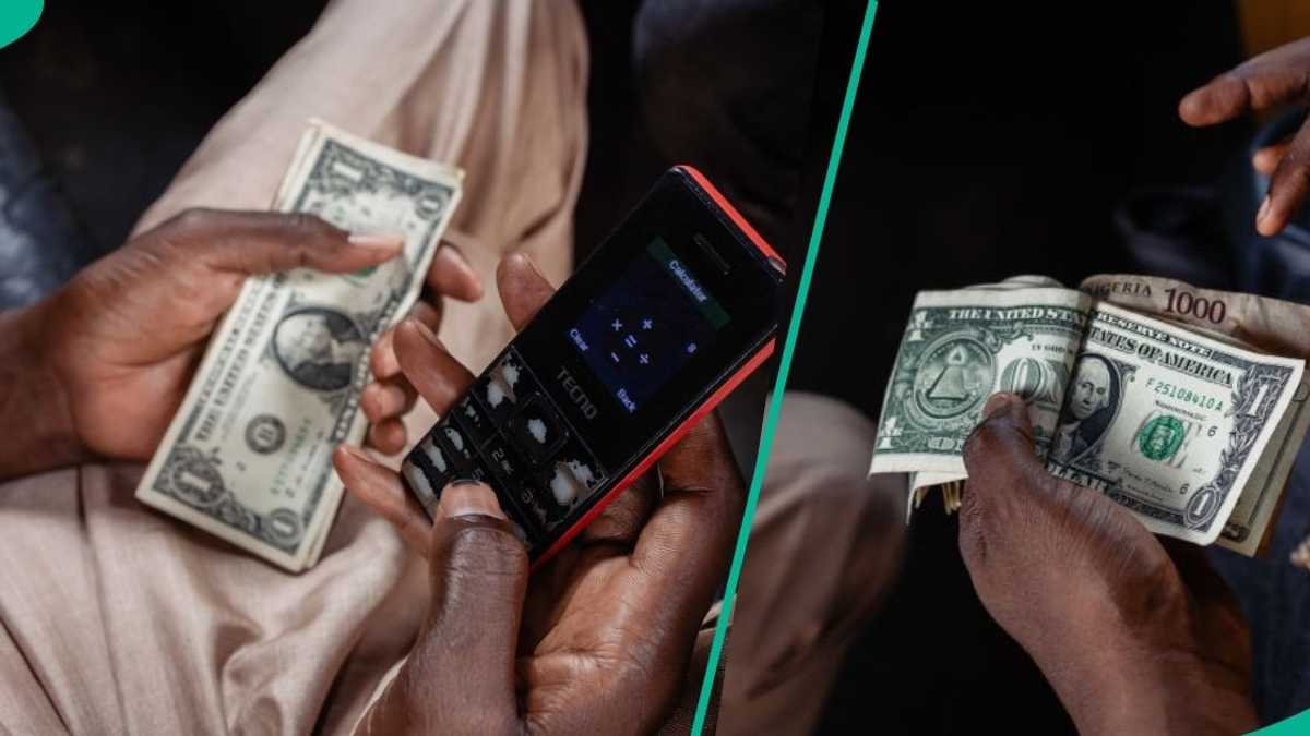 Standard Bank Forecasts New Naira Exchange Rate Against US Dollar by December 2025