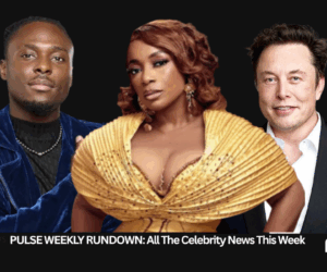 Pulse Weekly Rundown: Faith kicked off BBNaija, Elon Musk cancels Netflix, other major news