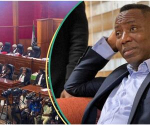 Nnamdi Kanu: Court Takes Action on Sowore’s Matter