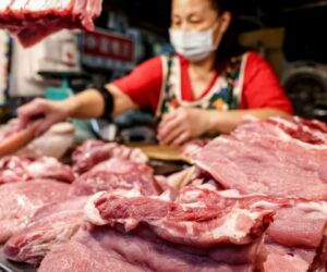 Taiwan detects first cases of swine fever