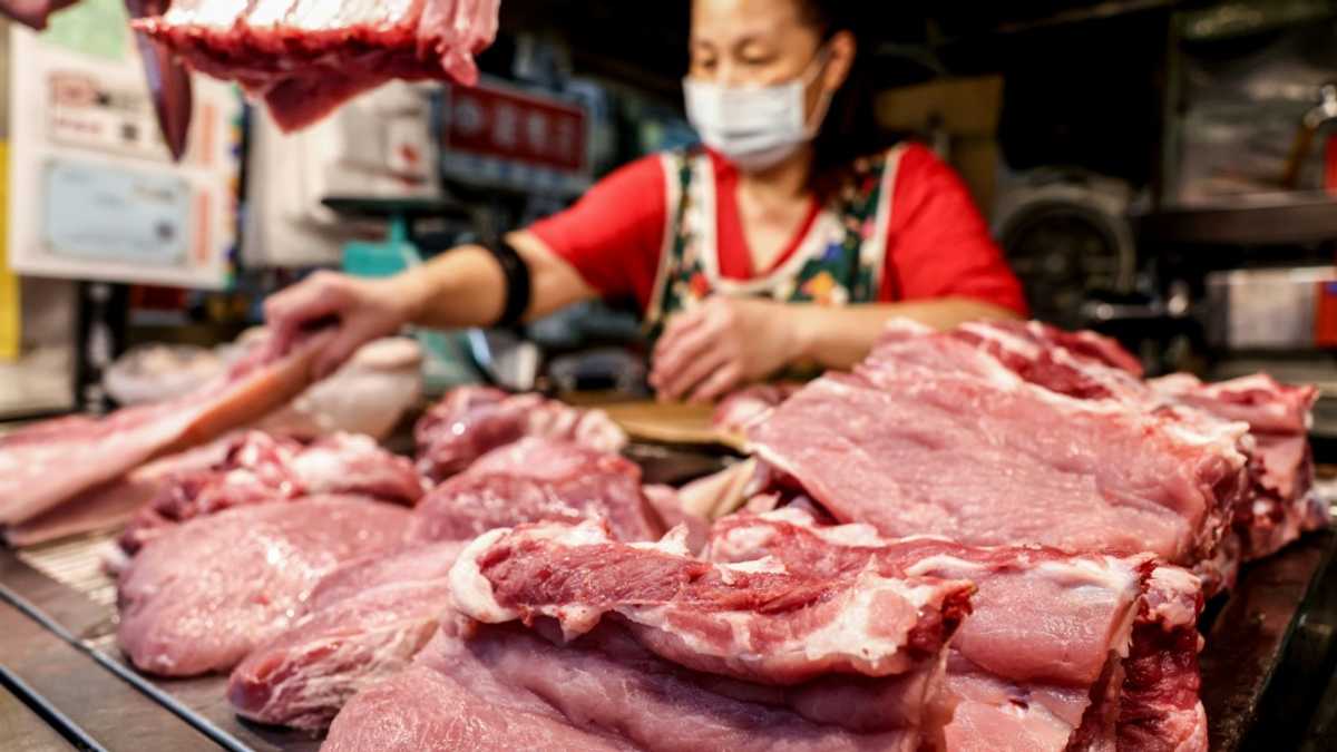Taiwan detects first cases of swine fever