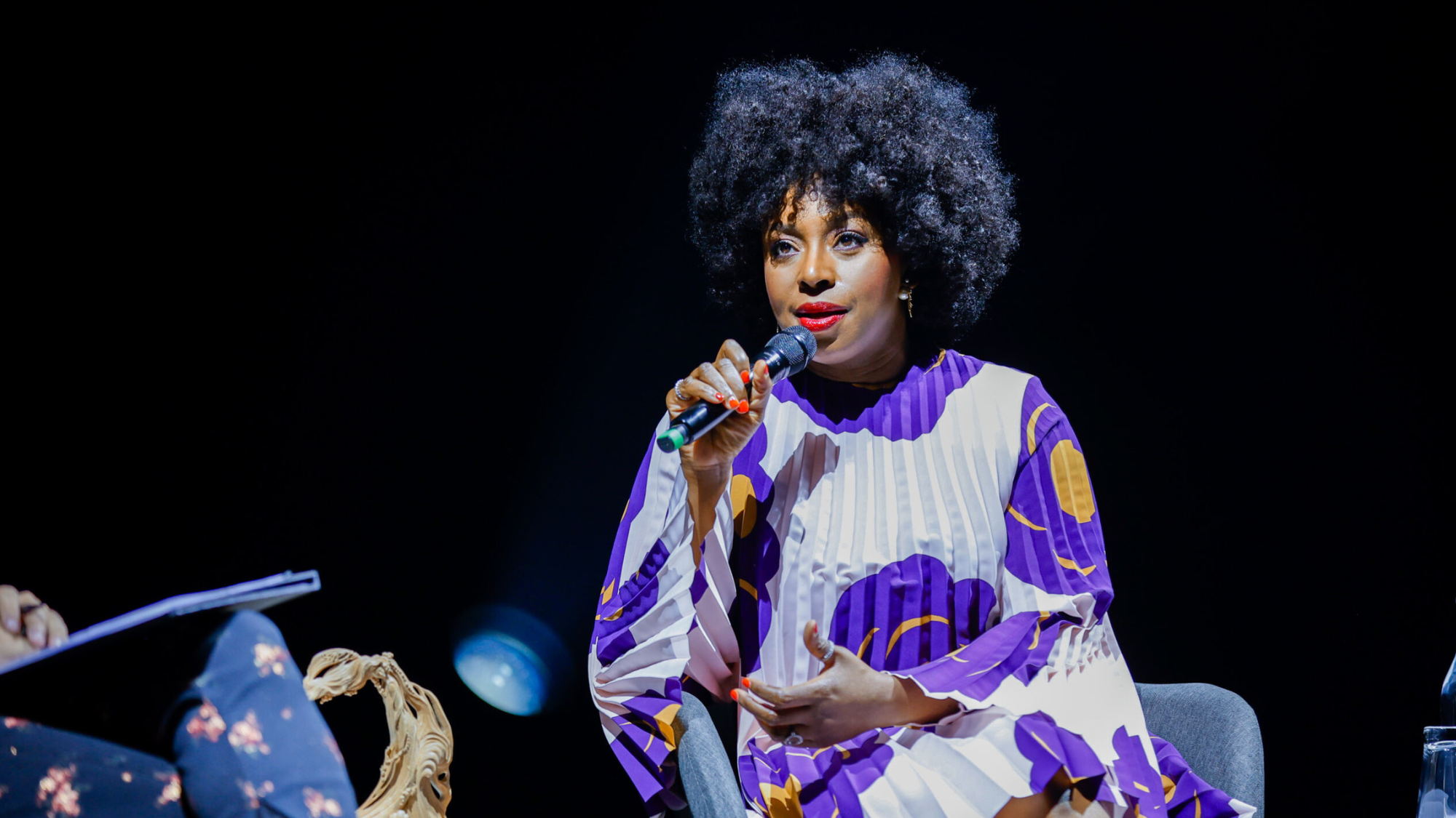 Chimamanda Just Got a Mermaid Award, But What Does That Even Mean?