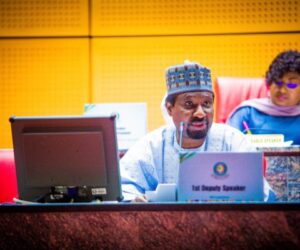 Beyond Local Politics: DSP Barau As Global Citizen