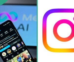 How to verify your Instagram account in Nigeria and get the blue checkmark