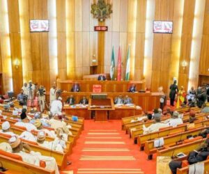 Northern lawmakers face recall threat over alleged National Assembly betrayal