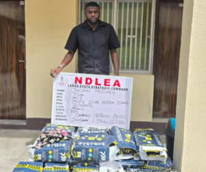 NDLEA Warns Club Owners, Fun Seekers Against Drug Parties – Arise News