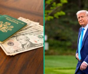 FULL LIST: US H-1B Visa Approvals for Nigerians Since 2018 Emerge