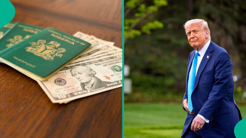 FULL LIST: US H-1B Visa Approvals for Nigerians Since 2018 Emerge