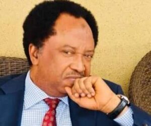 Don’t search your husband’s phone without consent – Shehu Sani