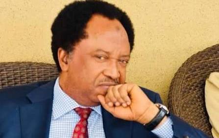 Don’t search your husband’s phone without consent – Shehu Sani
