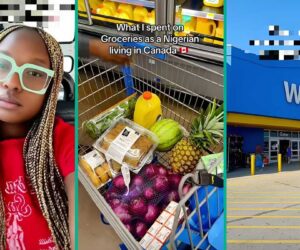 Woman Abroad Goes Shopping at Walmart with ₦348k, Breaks Down Expenses: “Way Cheaper”