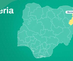 Borno: 2 Gunned Down as Boko Haram Set Palace on Fire