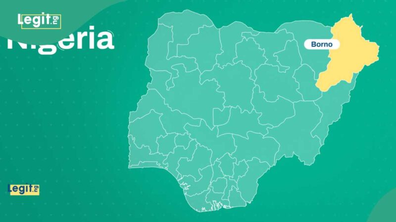 Borno: 2 Gunned Down as Boko Haram Set Palace on Fire