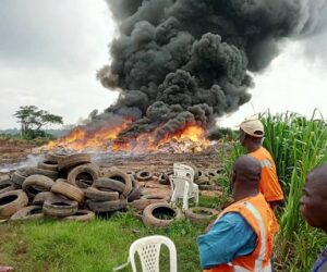 NAFDAC Destroys ₦15 Billion Worth of Fake, Expired Drugs, Consumables in Ibadan