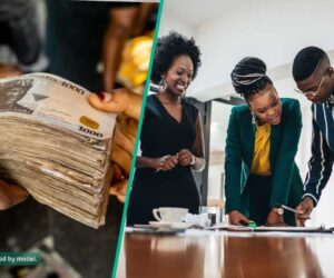 FG Invites Small Business Owners To Apply for N20m Funding Opportunity
