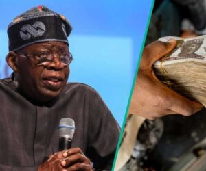Rising Debt: How Each Nigerian Now Owes N662,565, a Family of 5 Over N3m