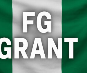 Apply Now: 5 Life-Changing Federal Grants Open to Nigerians