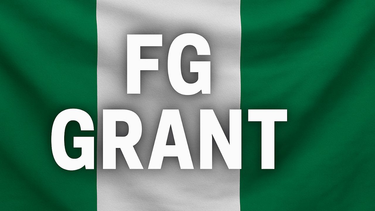 Apply Now: 5 Life-Changing Federal Grants Open to Nigerians