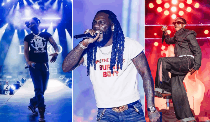 Burna Boy Makes History in New Zealand at the Afrosoul Festival
