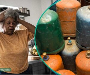 Cooking Gas Crisis: Report Identifies Those Responsible for Price Hikes, Scarcity