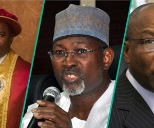 Amupitan: List of INEC Chairmen and the Geopolitical Zones They Came From