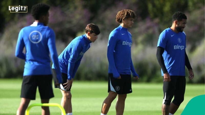 Landon Emenalo: Son of Former Super Eagles Star Gets Promoted at Chelsea