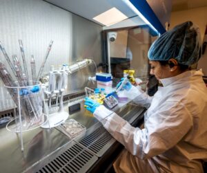 Scientists use human mini-brains to power computers