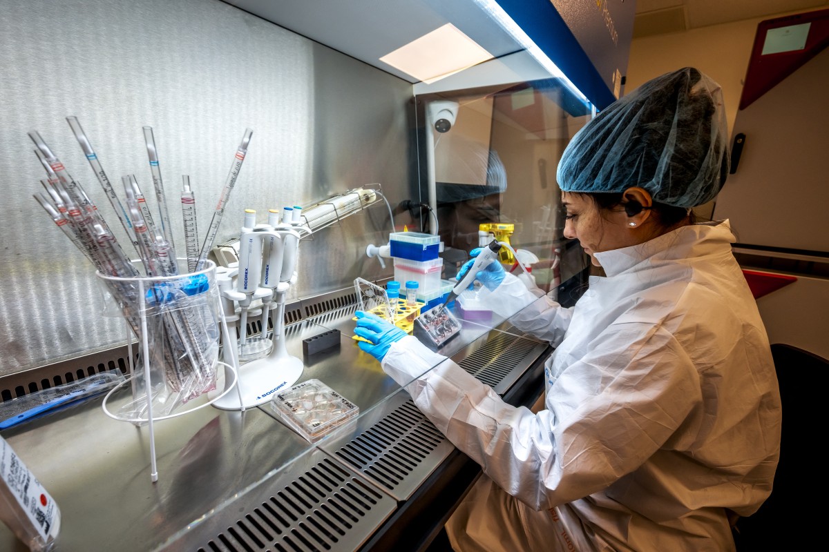 Scientists use human mini-brains to power computers