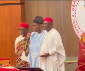 APC gains two-thirds majority in Senate as Akpabio swears in three new senators