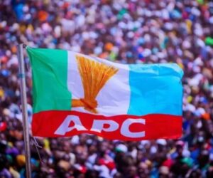 Nabena Links APC Leadership Tussle To Rumoured Arrest Of Ogbuku, Fingers Diri