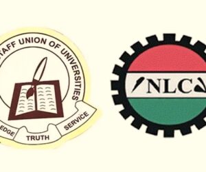NLC backs ASUU, knocks govt over ‘No Work, No Pay’ policy