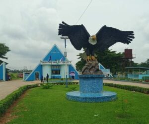 DELSU Expels Student For Filming Dying Colleague, Posting Video On TikTok