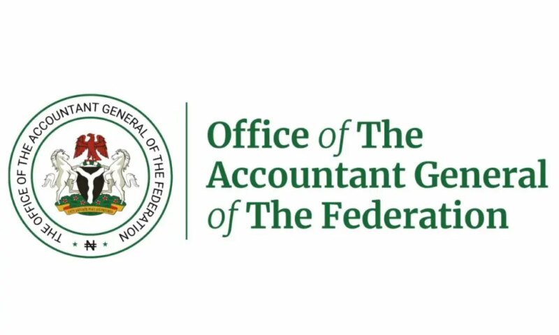 IPPIS software upgrade won’t delay October salary payment – OAGF assures FG workers