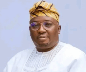 FG secured over $2 billion loan in two years to boost electricity supply – Adelabu
