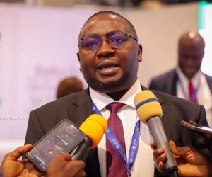 Nigerian Government seeks partnership to harness 10GW stranded electricity generation capacity