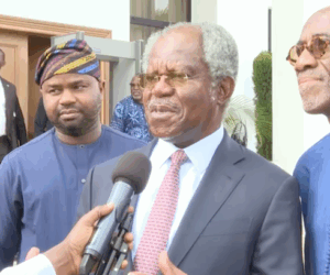 Adebayo Ogunlesi: Nigeria Now Exciting To Invest In