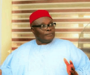 #FreeNnamdiKanu: APC Came To Power Through Protests, Now Scared Of Protests – Wabara Fumes